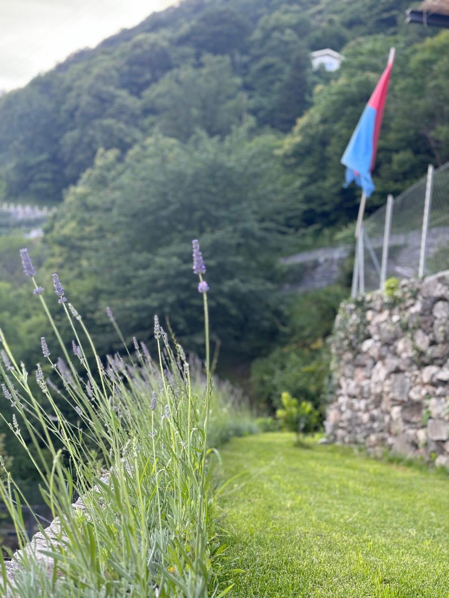 Ca'Gialla Bellinzona Buitenkant foto